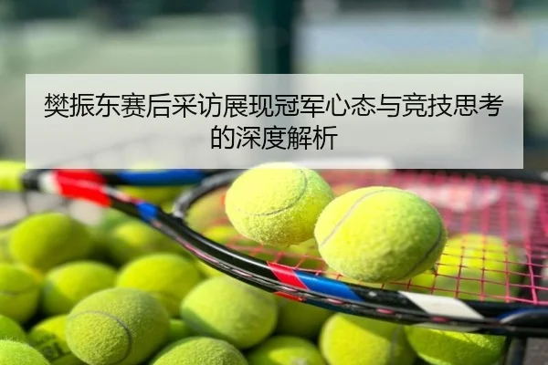 樊振东赛后采访展现冠军心态与竞技思考的深度解析