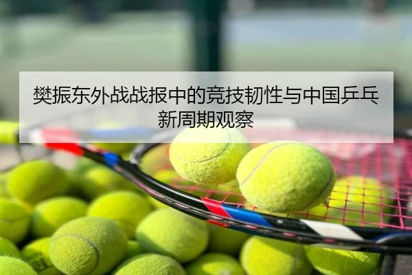 樊振东外战战报中的竞技韧性与中国乒乓新周期观察