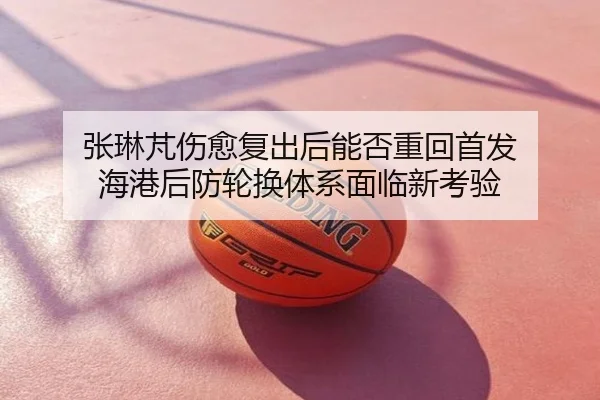 张琳芃伤愈复出后能否重回首发 海港后防轮换体系面临新考验