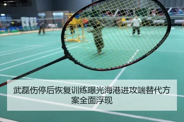 武磊伤停后恢复训练曝光海港进攻端替代方案全面浮现