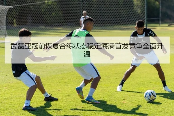 武磊亚冠前恢复合练状态稳定海港首发竞争全面升温